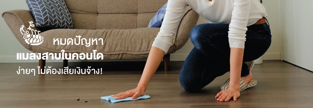 กํา จัด แมลงสาบ ใน คอน โด, วิธี กํา จัด แมลงสาบ ใน คอน โด