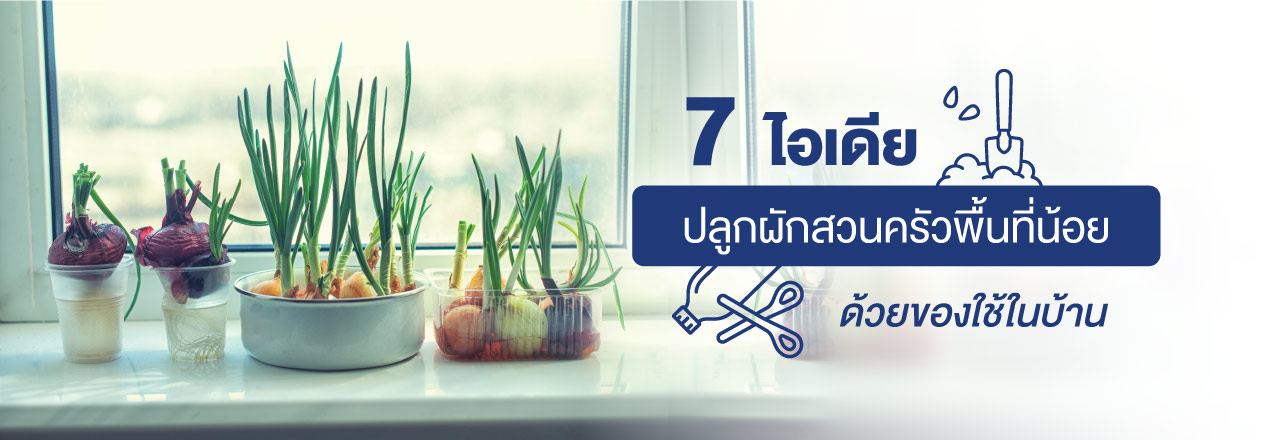 Cover - 7 ไอเดีย ปลูกผักสวนครัวพื้นที่น้อย ด้วยของใช้ในบ้าน